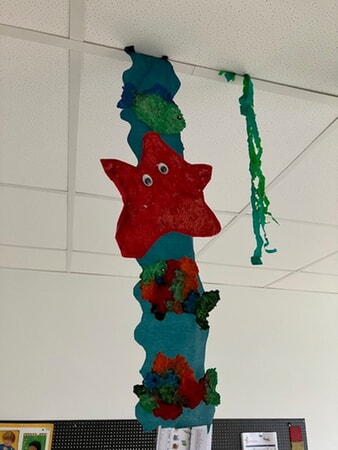 Seestern aus der Unterwasserwelt