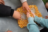 Herbstaktivitäten im Kindergarten Haus 2