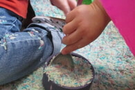 Forschen in der Krippe